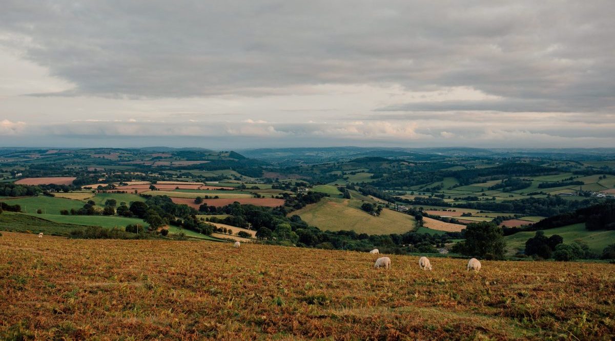 Garway Hill. Photo: Visit Herefordshire, © Naomi-Moyo-Wilson